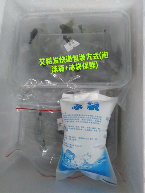 生鮮速遞，品質保鮮 廣東省內順豐包郵，24小時急速發貨