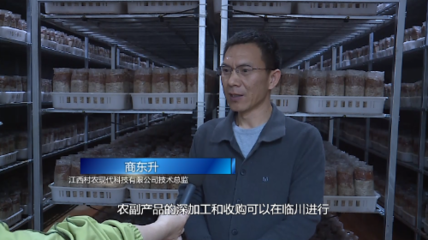 臨川 以項目建設為引擎 跑出工業(yè)高質量發(fā)展“加速度”