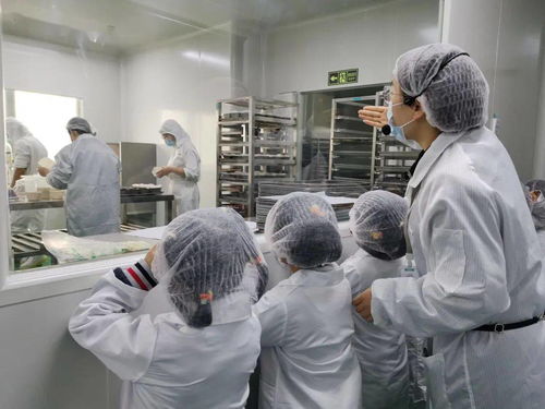 探訪優(yōu)壹朵焙滋特中央工廠 社會實踐中的社會經(jīng)濟(jì)啟示